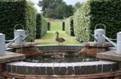 Elsham Hall Gardens